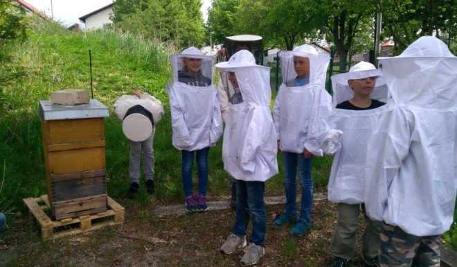 IMG_20190503_120941 (Small) Imkerei Bienen